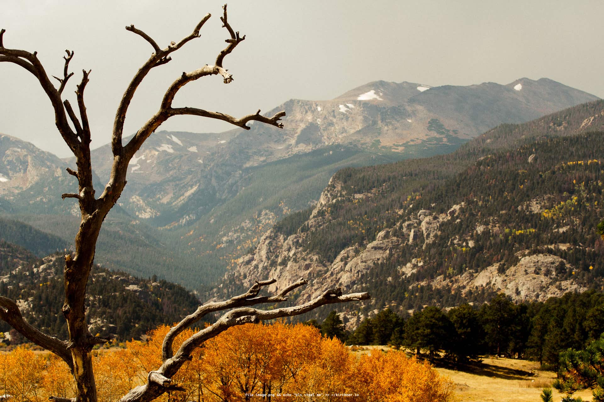 Colorado Rockies