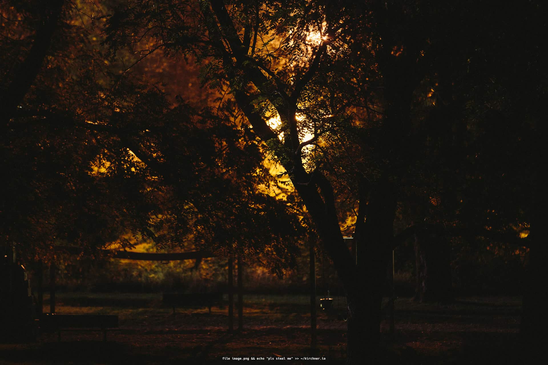 Glimpse